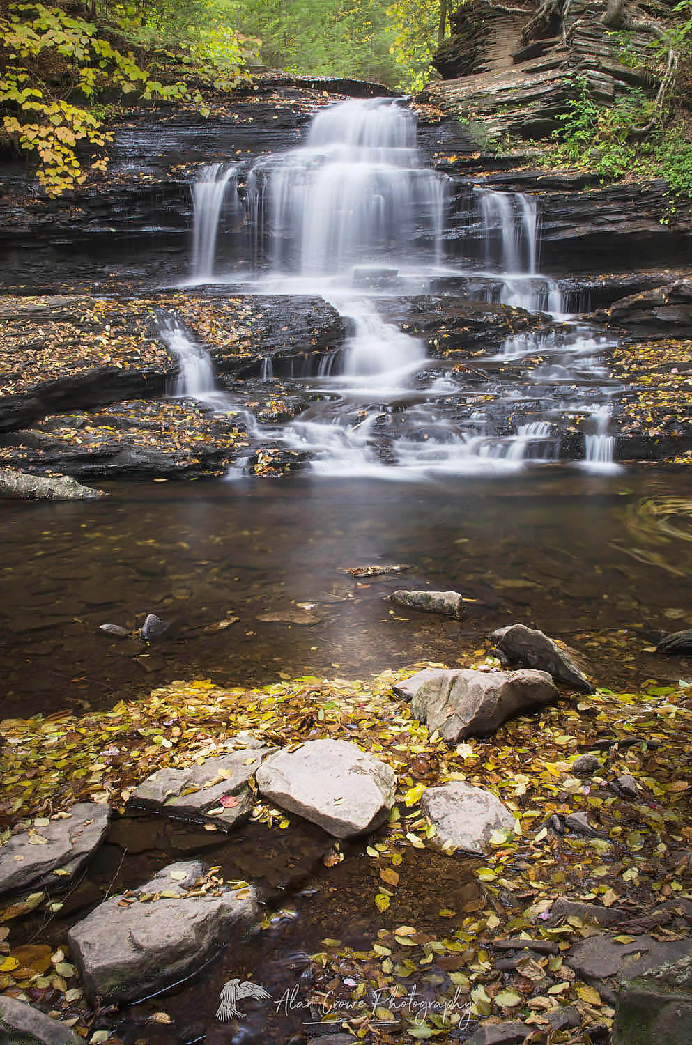 Onondaga Falls, Ricketts Glen Pennsylvania #59531