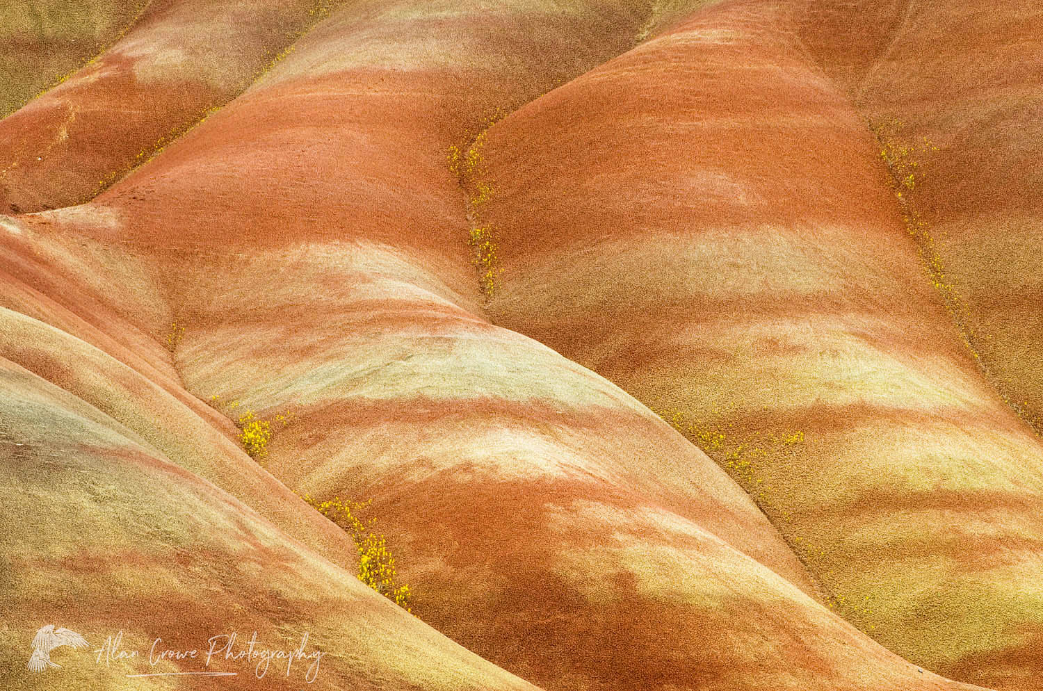 Colorful layers and striations , Painted Hills Unit of John Day Fossil Beds National Monument Oregon #44670