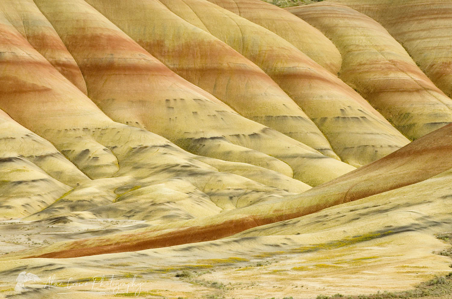 Colorful layers and striations , Painted Hills Unit of John Day Fossil Beds National Monument Oregon #44678