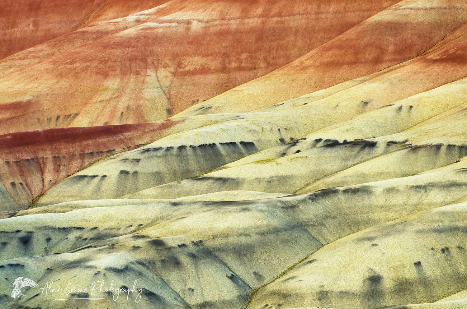 Colorful layers and streaks of minerals, Painted Hill Unit of John Day Fossil Beds National Monument Oregon #44754