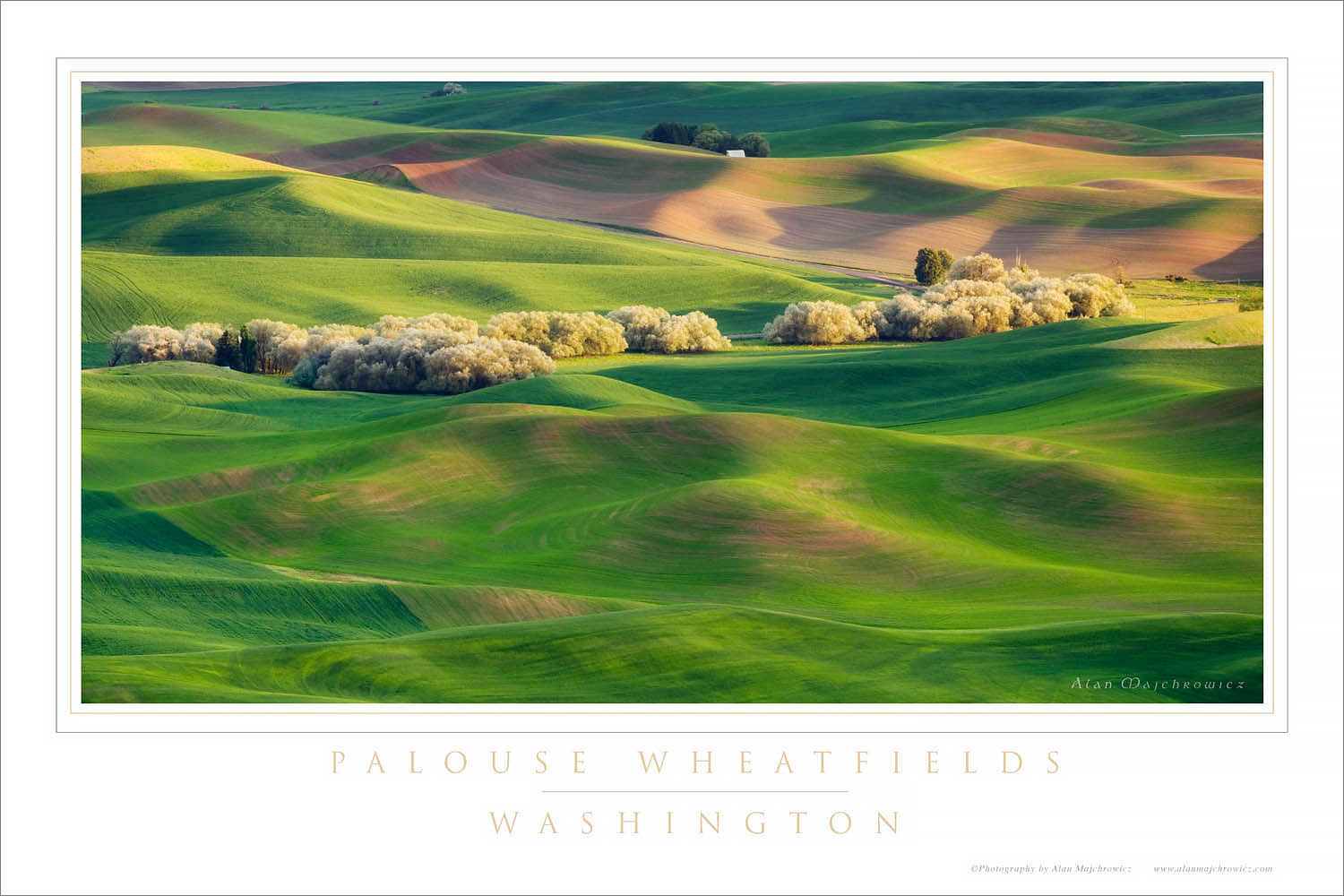 Palouse Washington