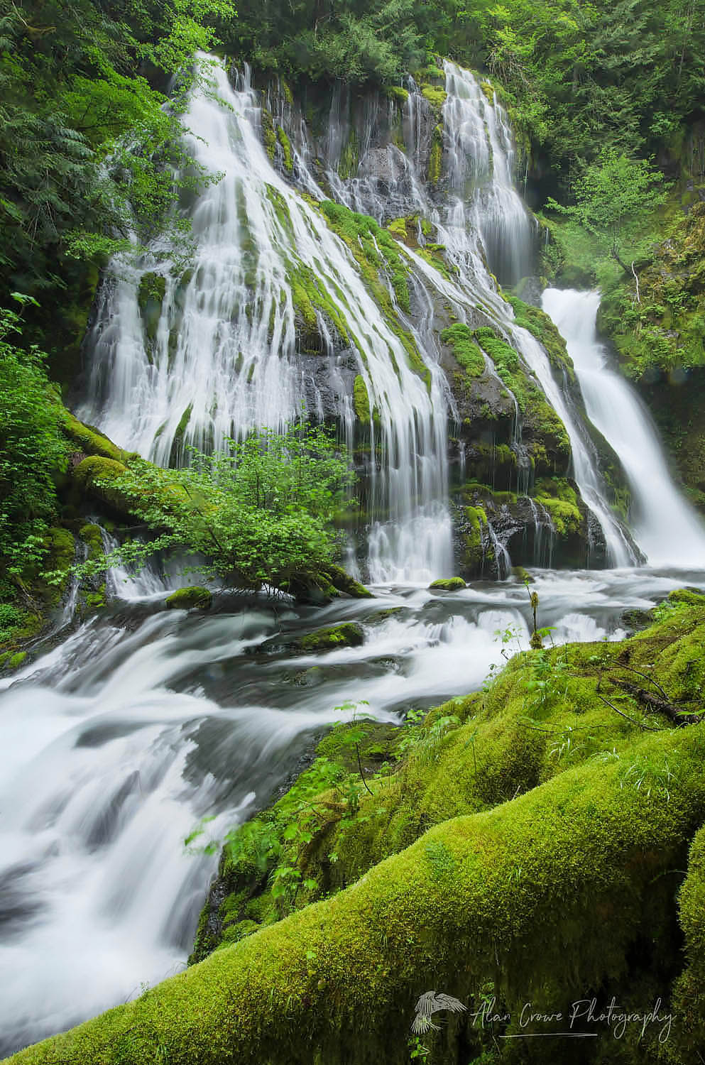 Panther Creek Falls Washington #51379