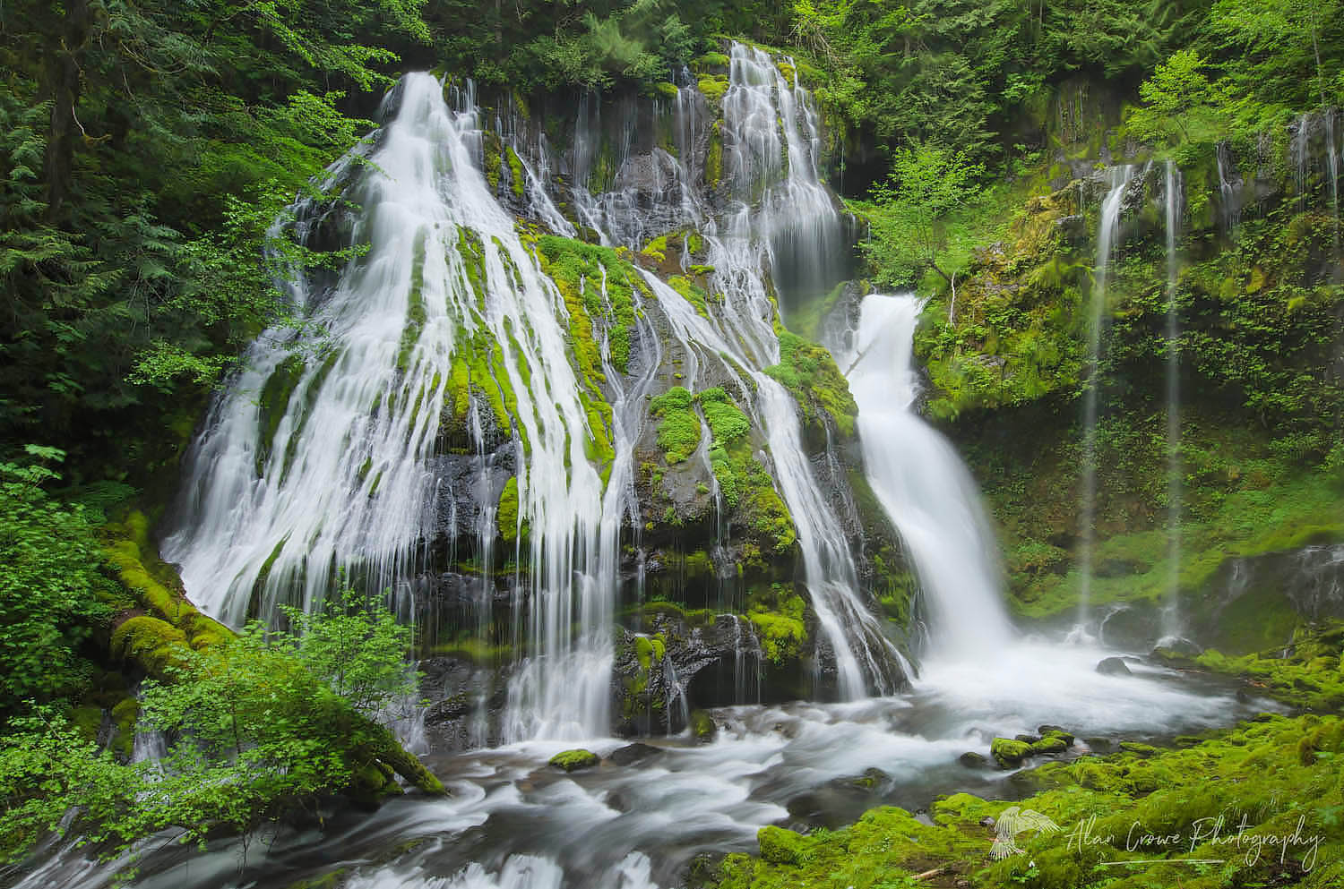 Panther Creek Falls Washington #51383