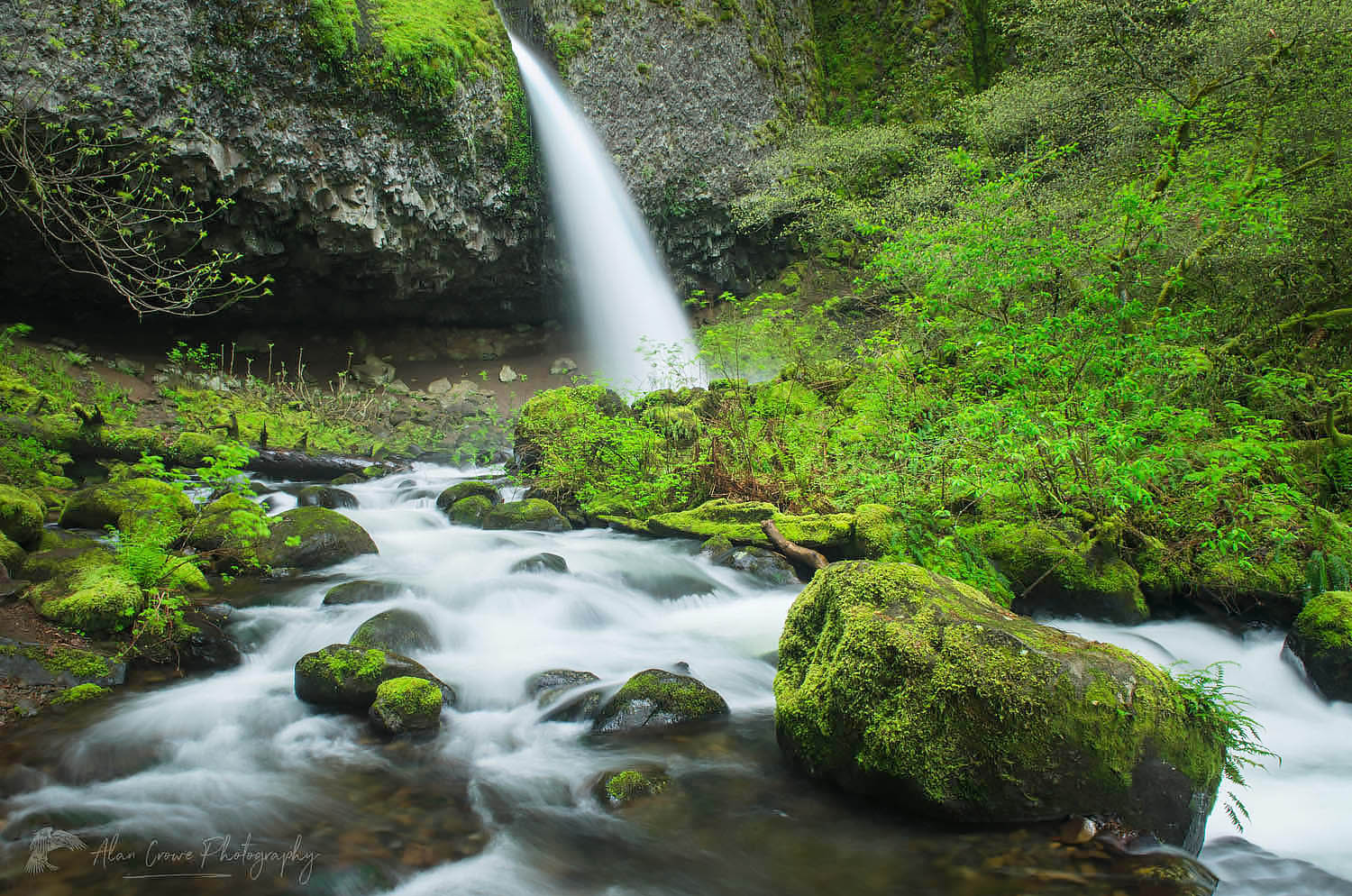 Ponytail Falls, Columbia River Gorge National Scenic Area, Oregon #47675