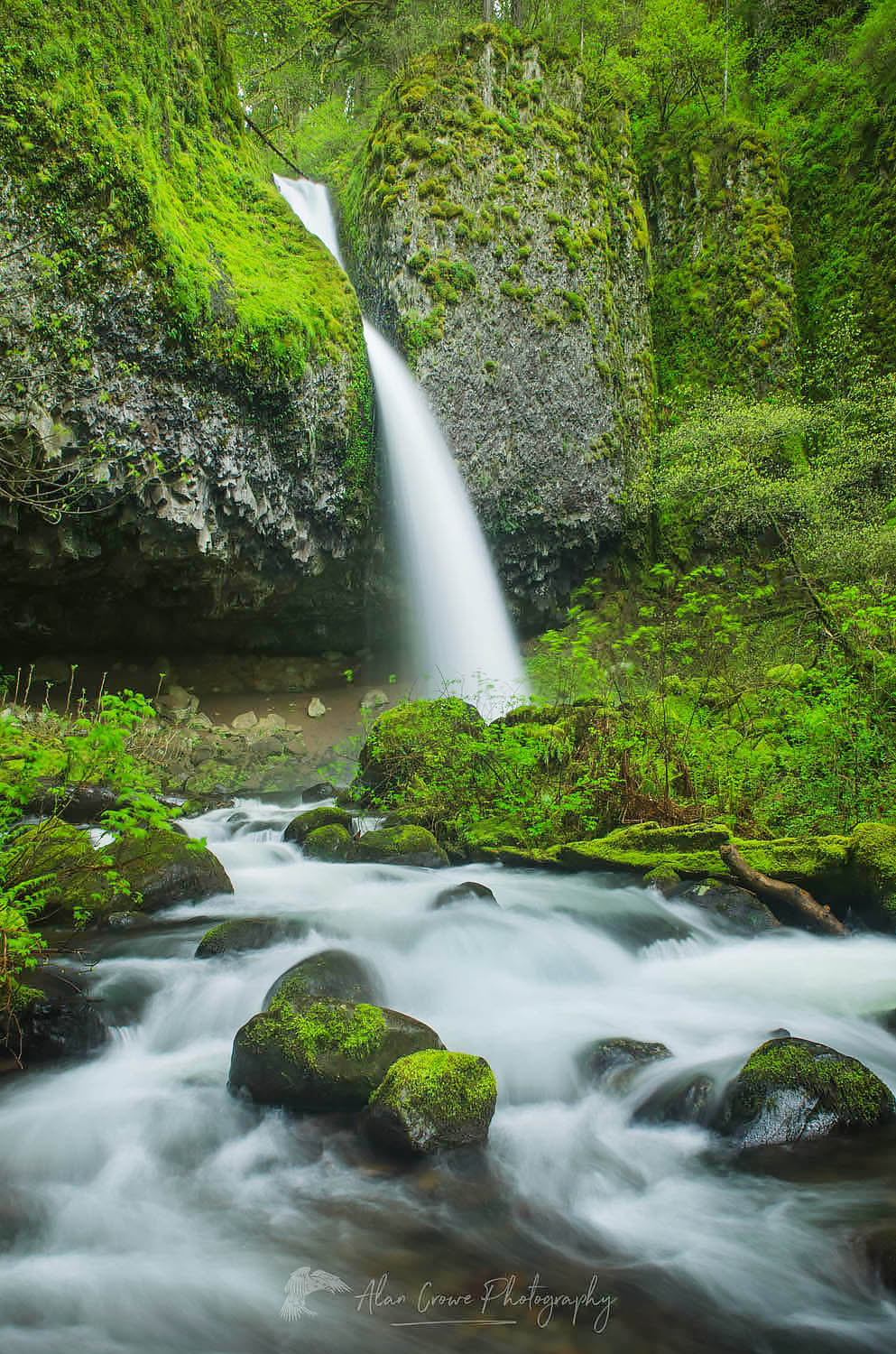Ponytail Falls, Columbia River Gorge National Scenic Area, Oregon #47684
