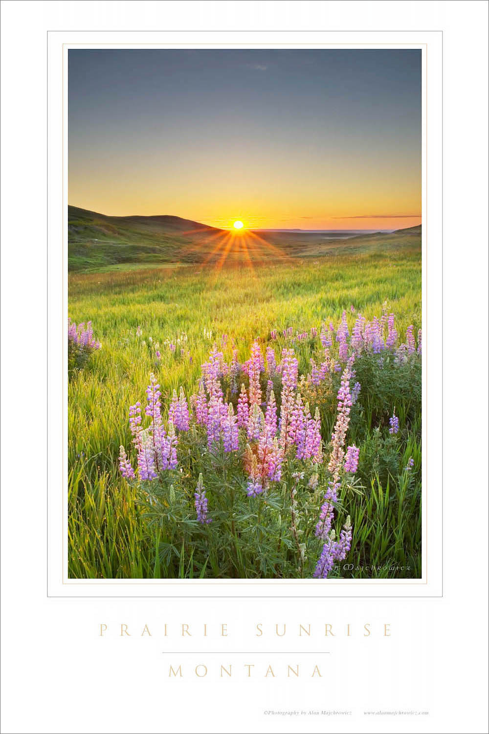 Prairie Sunrise Montana