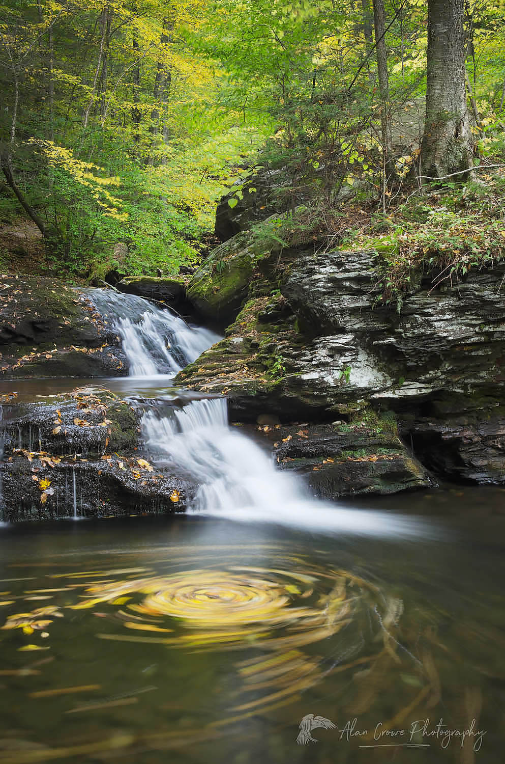 Cascades Ricketts Glen State Park, Pennsylvania #59572