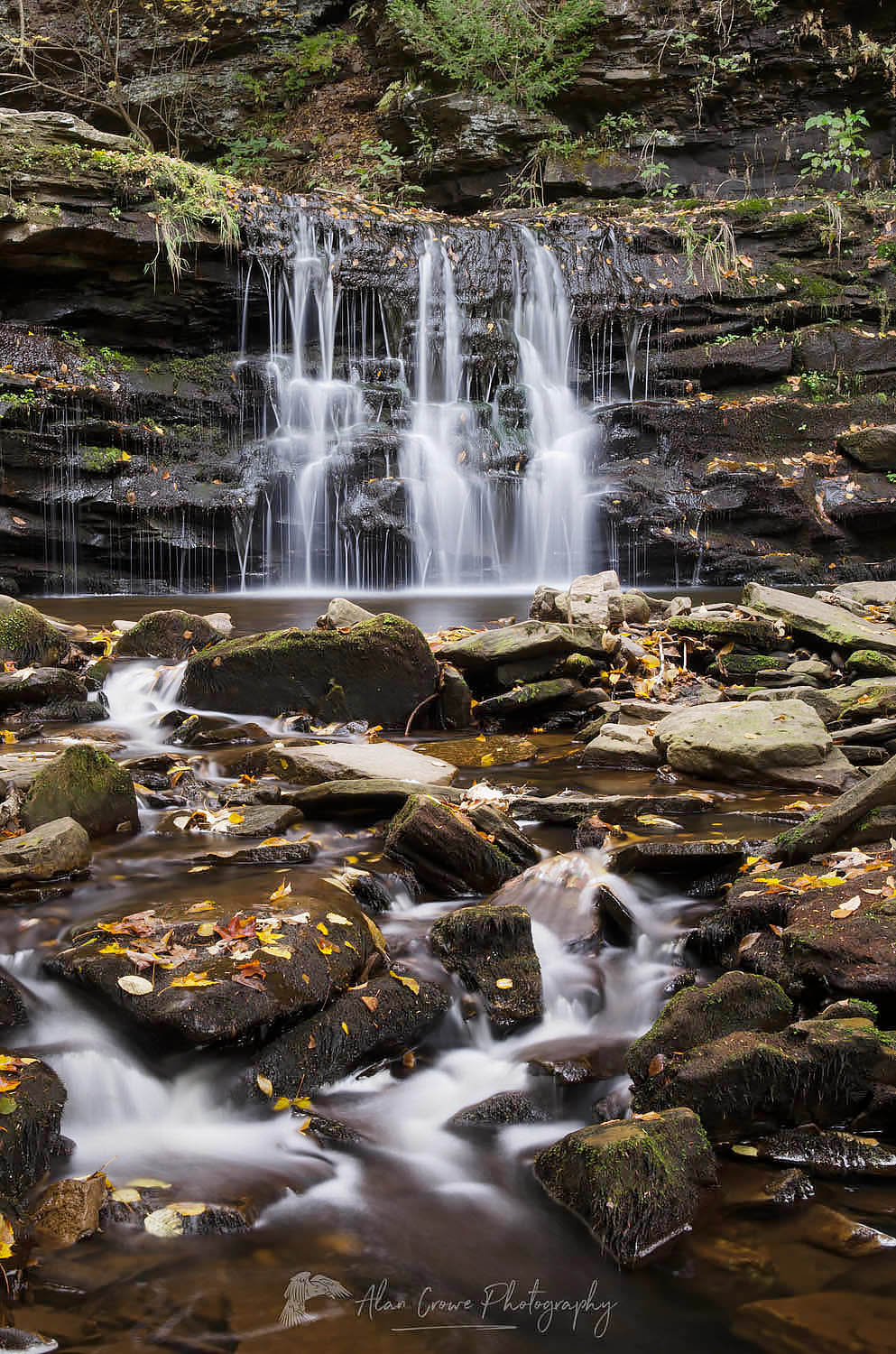 Cascades of Kitchen Creek in Ganoga Glen , Ricketts Glen State Park, Pennsylvania #59628