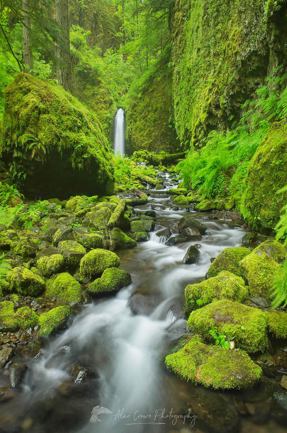 Ruckel Creek waterfall, Columbia River Gorge National Scenic Area #51403