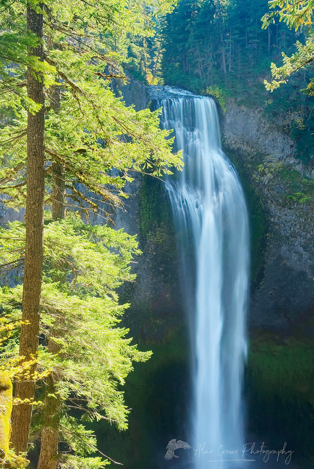 Salt Creek Falls, Willamette National Forest Oregon #42929