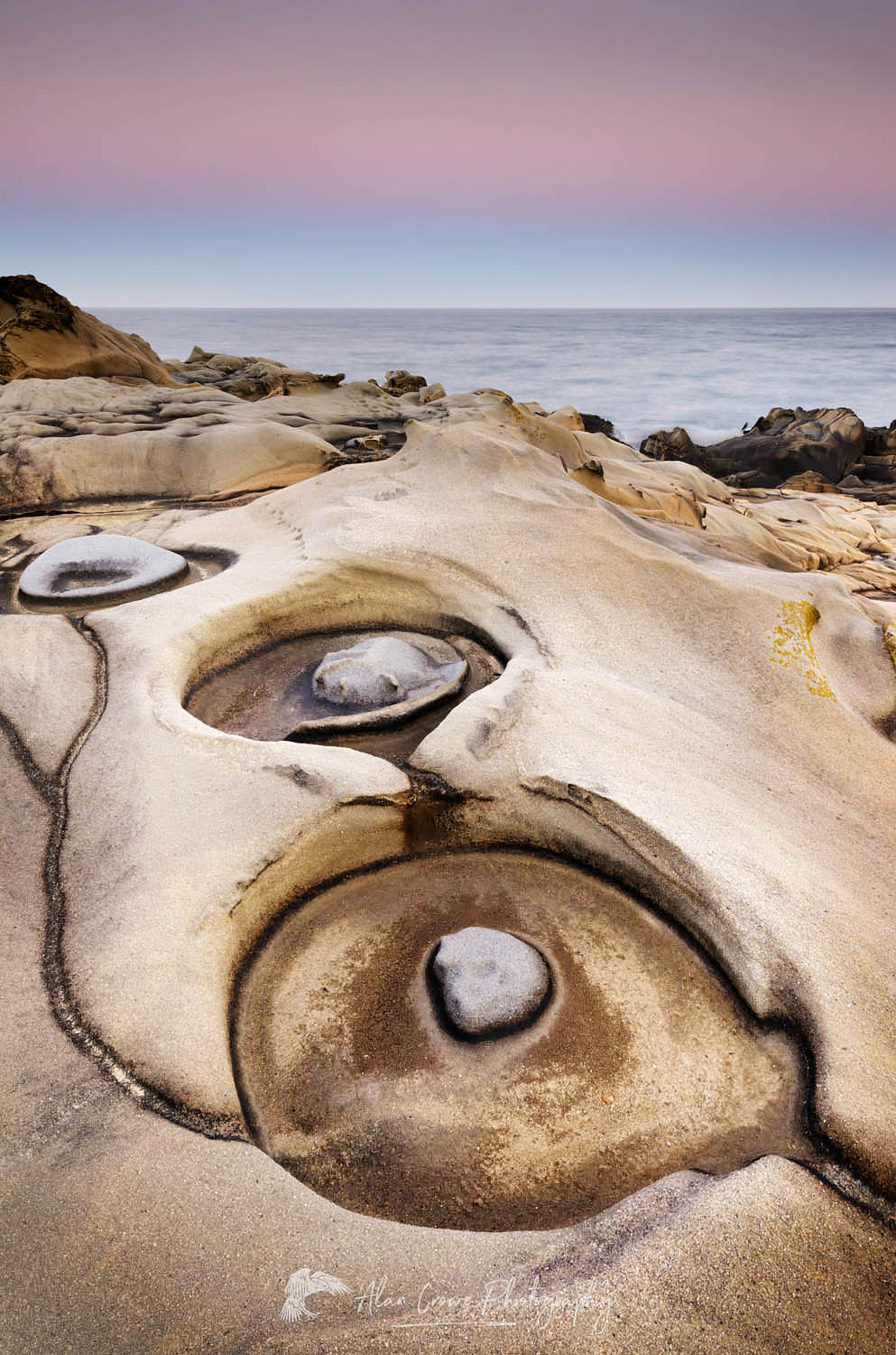 Eroded sandstone and Tafoni formations, Sonoma Coast, Salt Point State Park California #60440