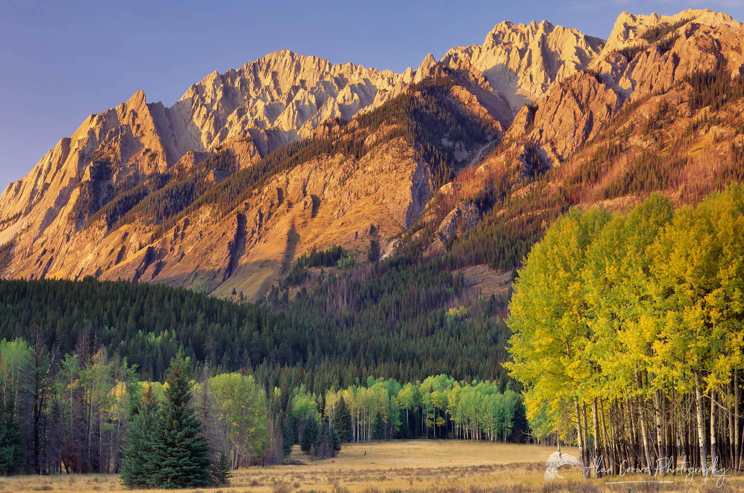 Sawback Range at sunset in Autumn, Banff National Park Alberta Canada #3597