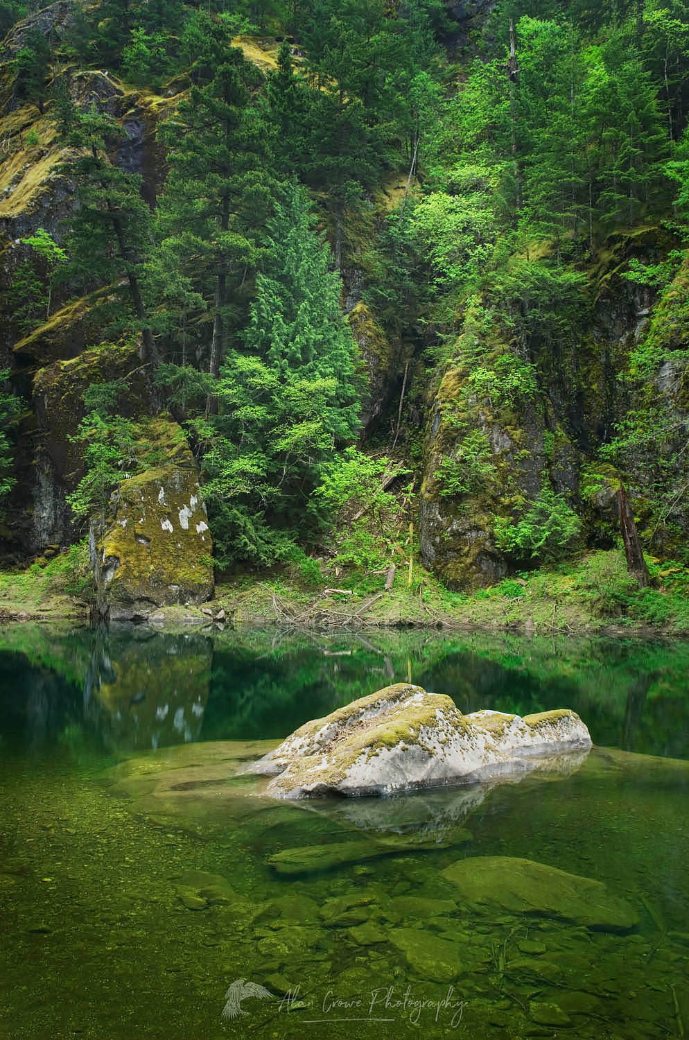 Skagit River Gorge, Ross Lake National Recreation Area, North Cascades Washington #53810