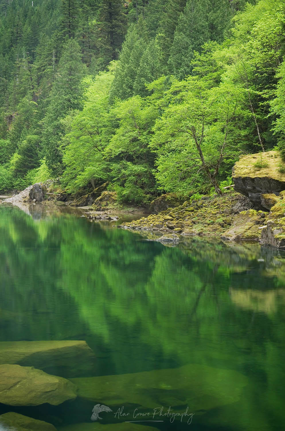 Skagit River Gorge, Ross Lake National Recreation Area, North Cascades Washington #53813
