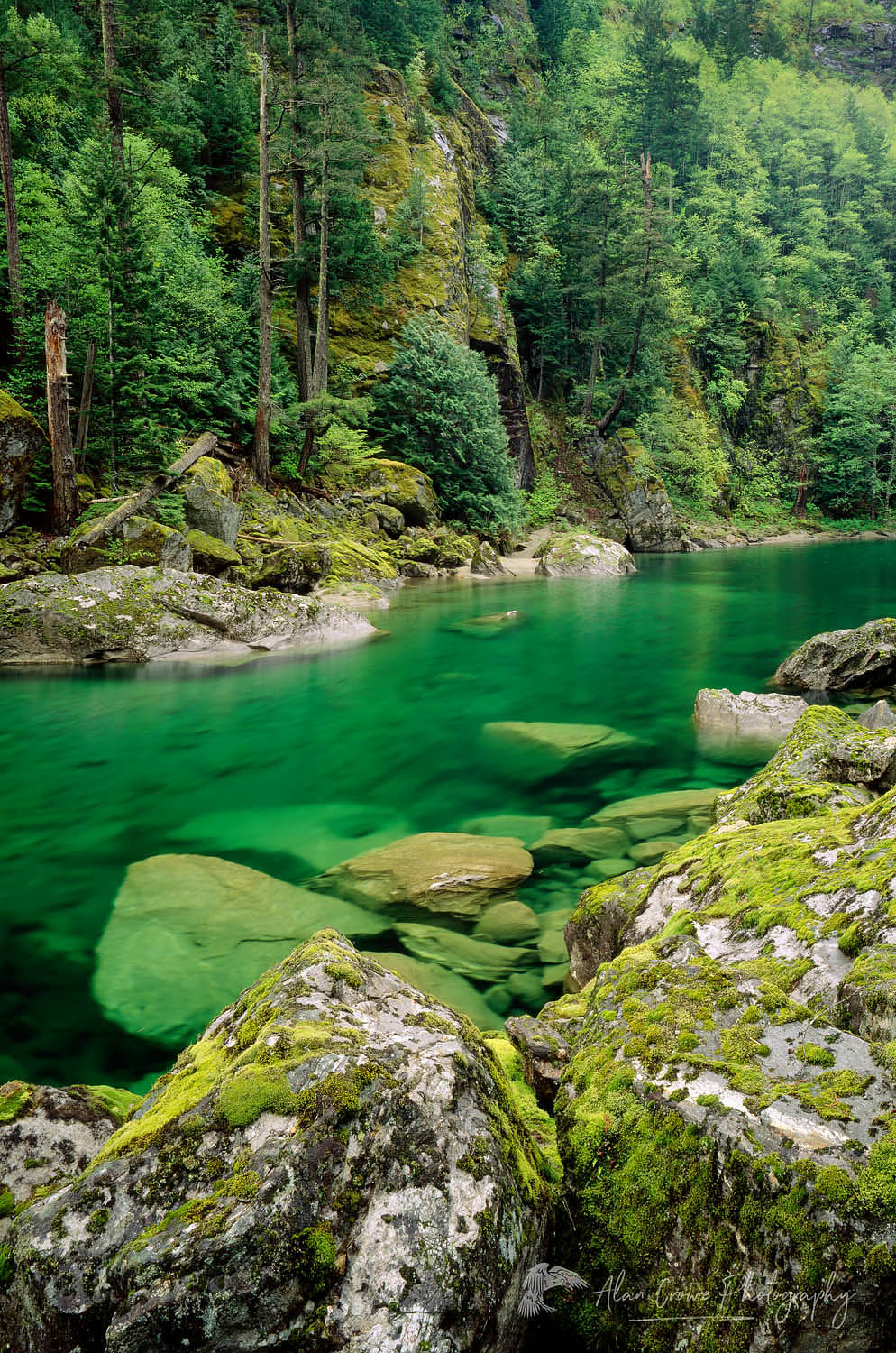 Skagit River Gorge, Ross Lake National Recreation Area, North Cascades Washington #702