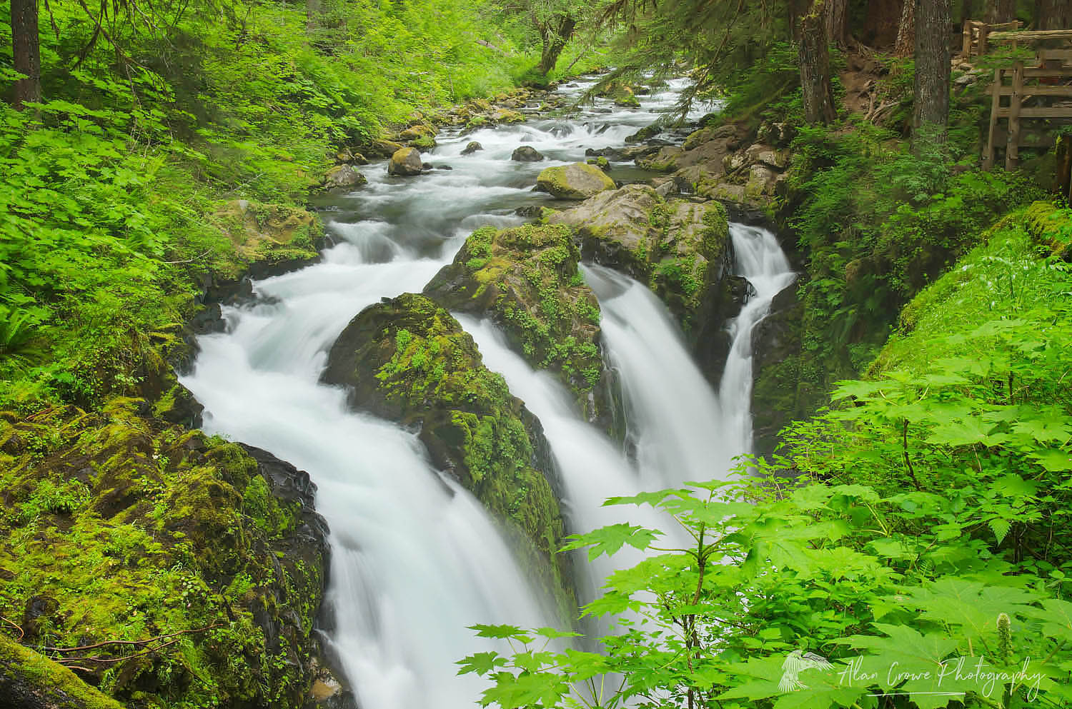 Sol Duc Falls Olympic National Park