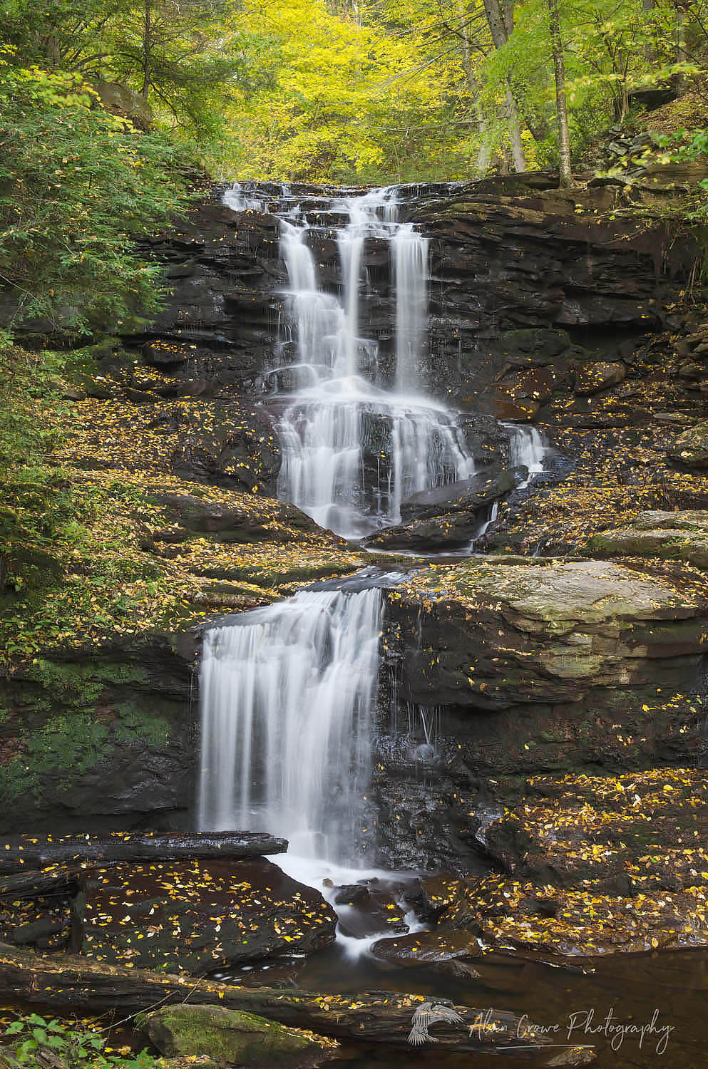 Tuscarora Falls Ricketts Glen