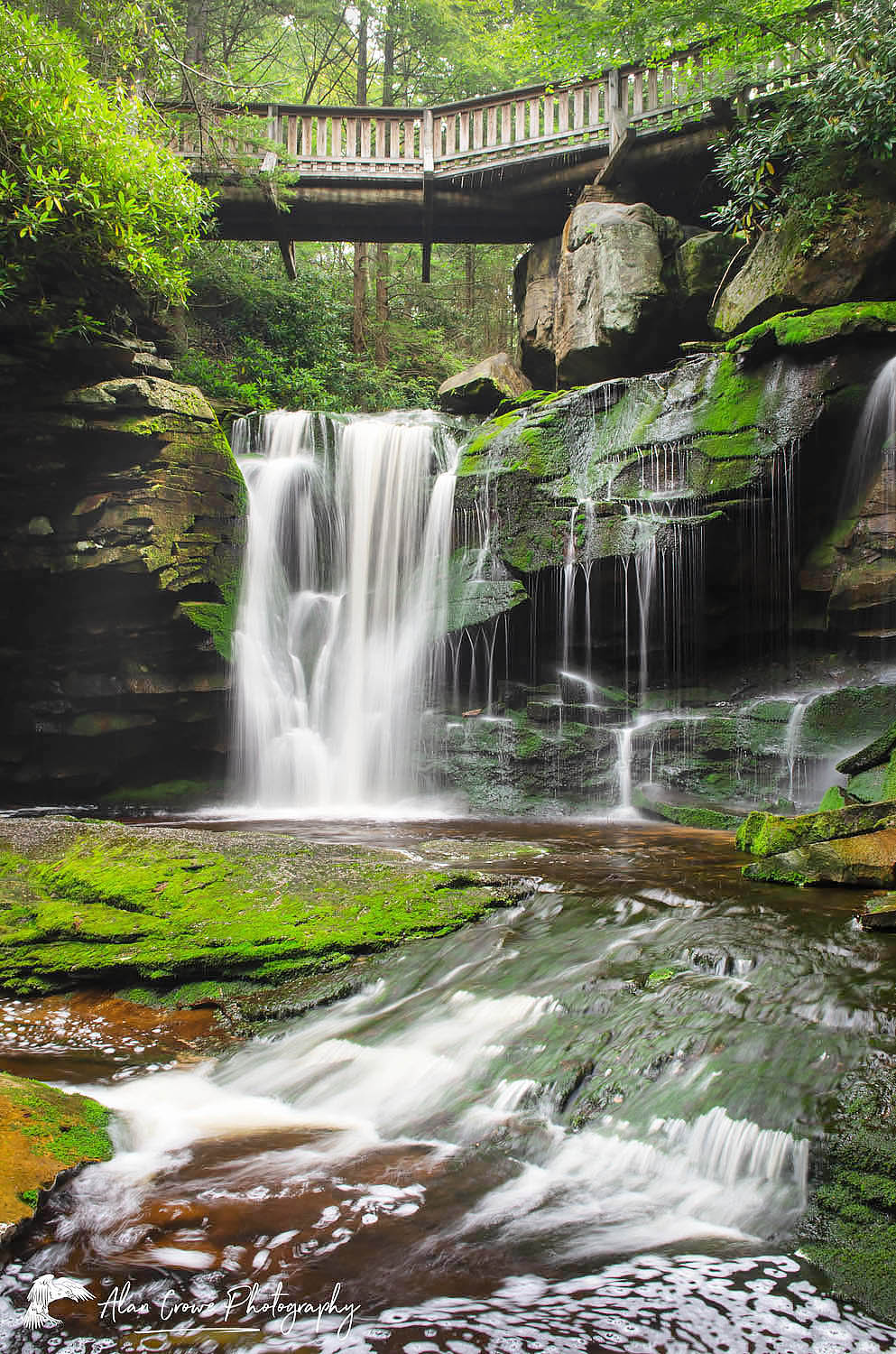Elakala Falls Blackwater Falls State Park Alan Crowe Photography