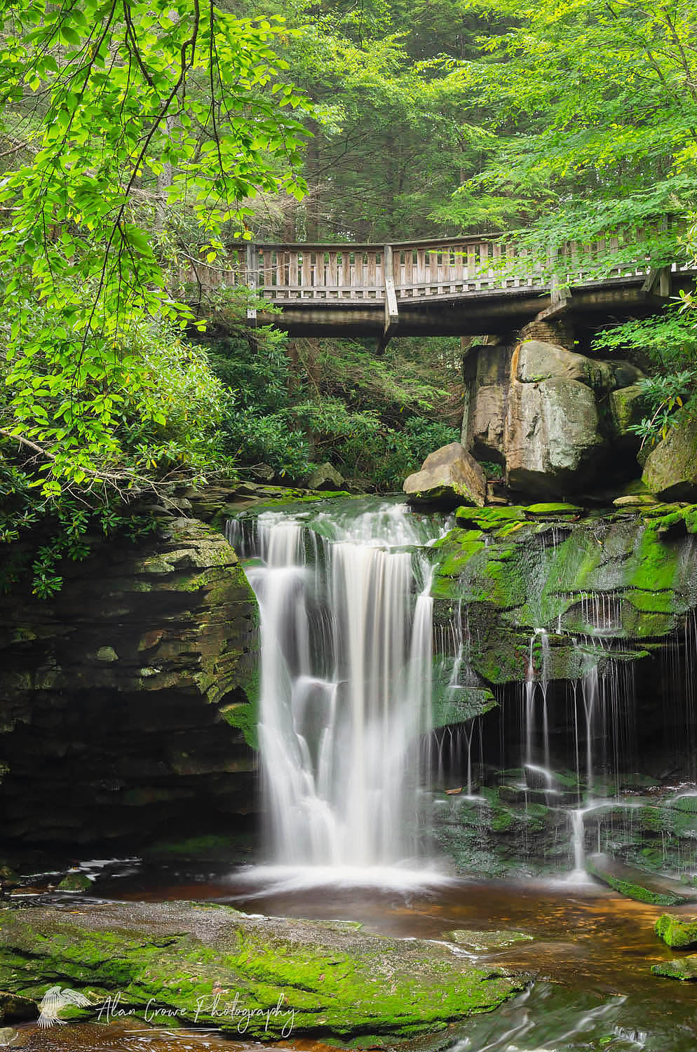 Elakala Falls Blackwater Falls State Park