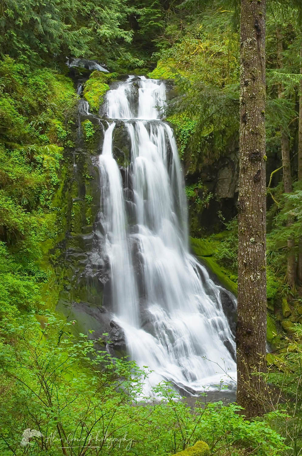 Upper Kentucky Falls Oregon
