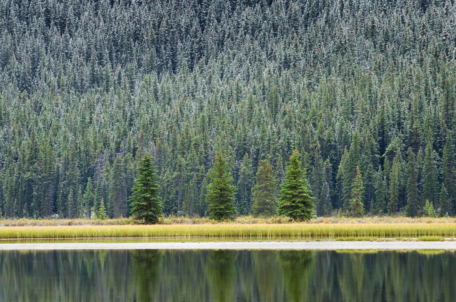 Upper Waterfowl Lake, Banff National Park Alberta #53429