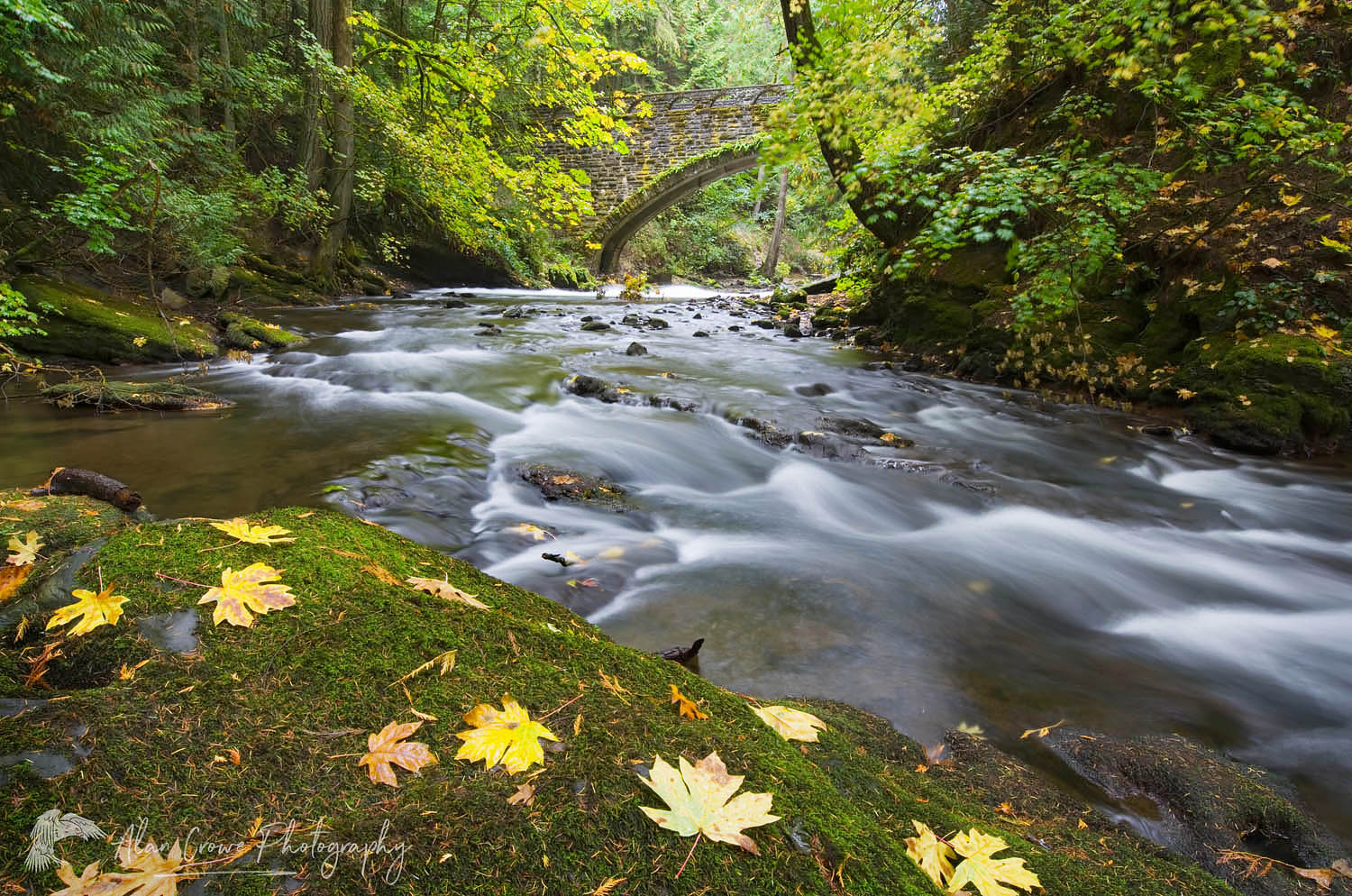 Whatcom Creek in fall, Bellingham, Washington #46739