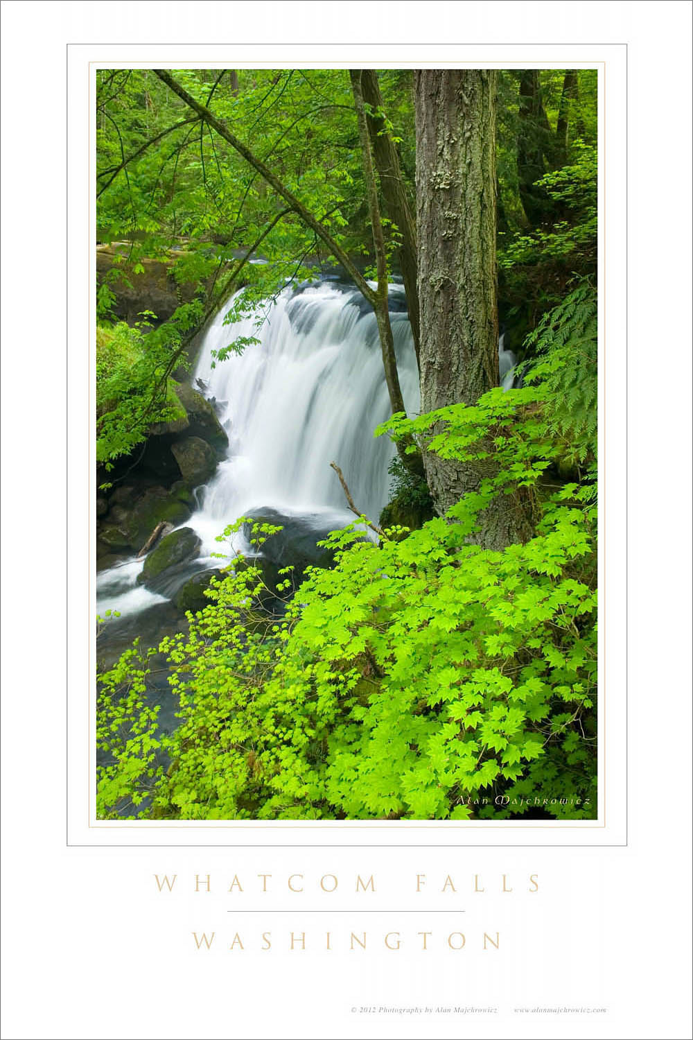 Whatcom Falls Washington