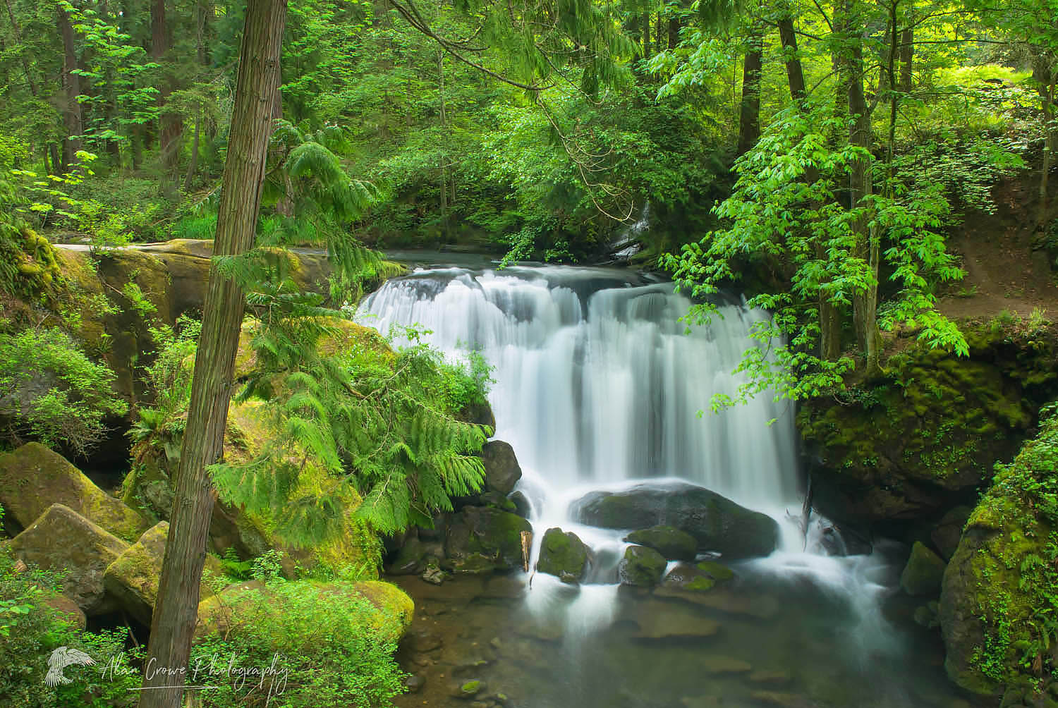 Whatcom Falls Bellingham Washington