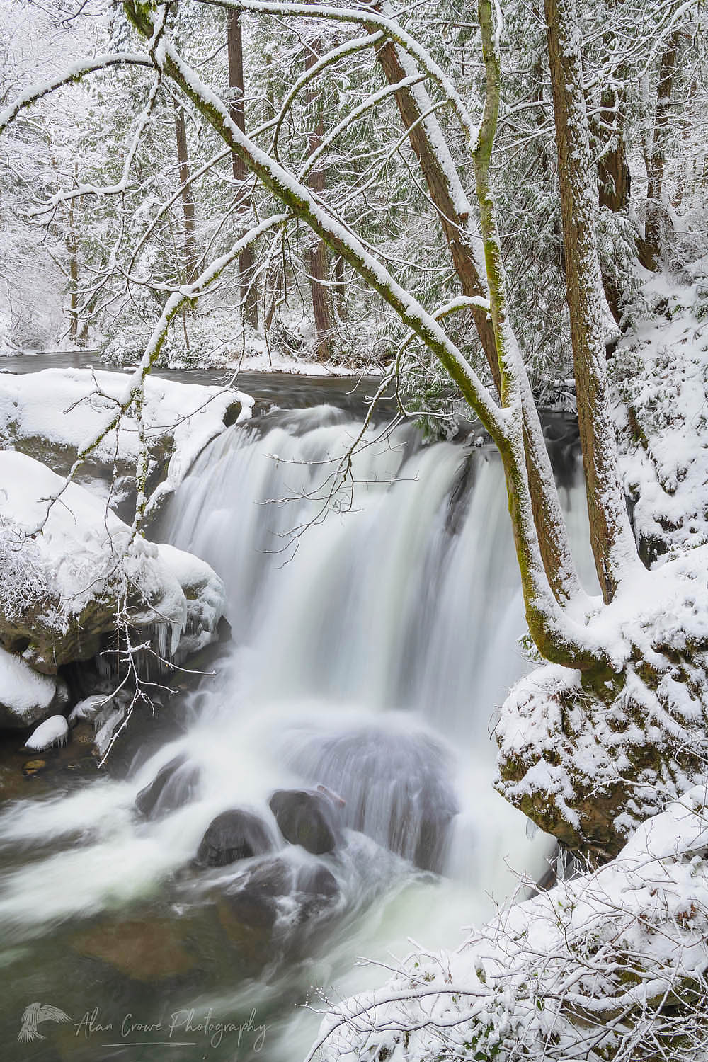 Whatcom Falls Bellingham Washington