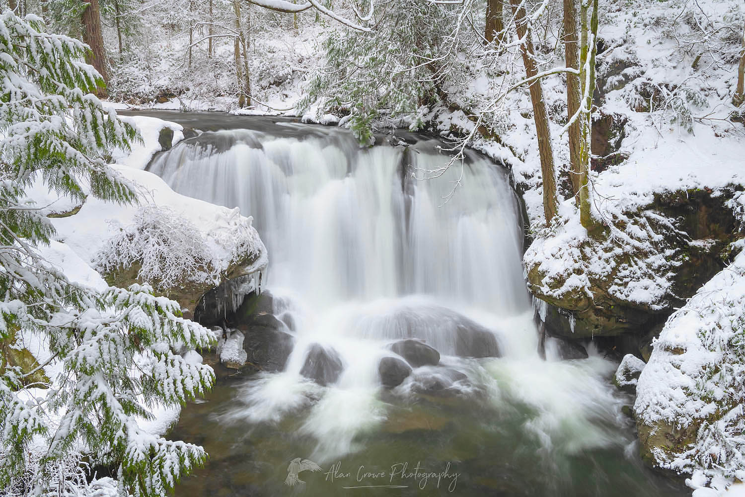 Whatcom Falls Bellingham Washington