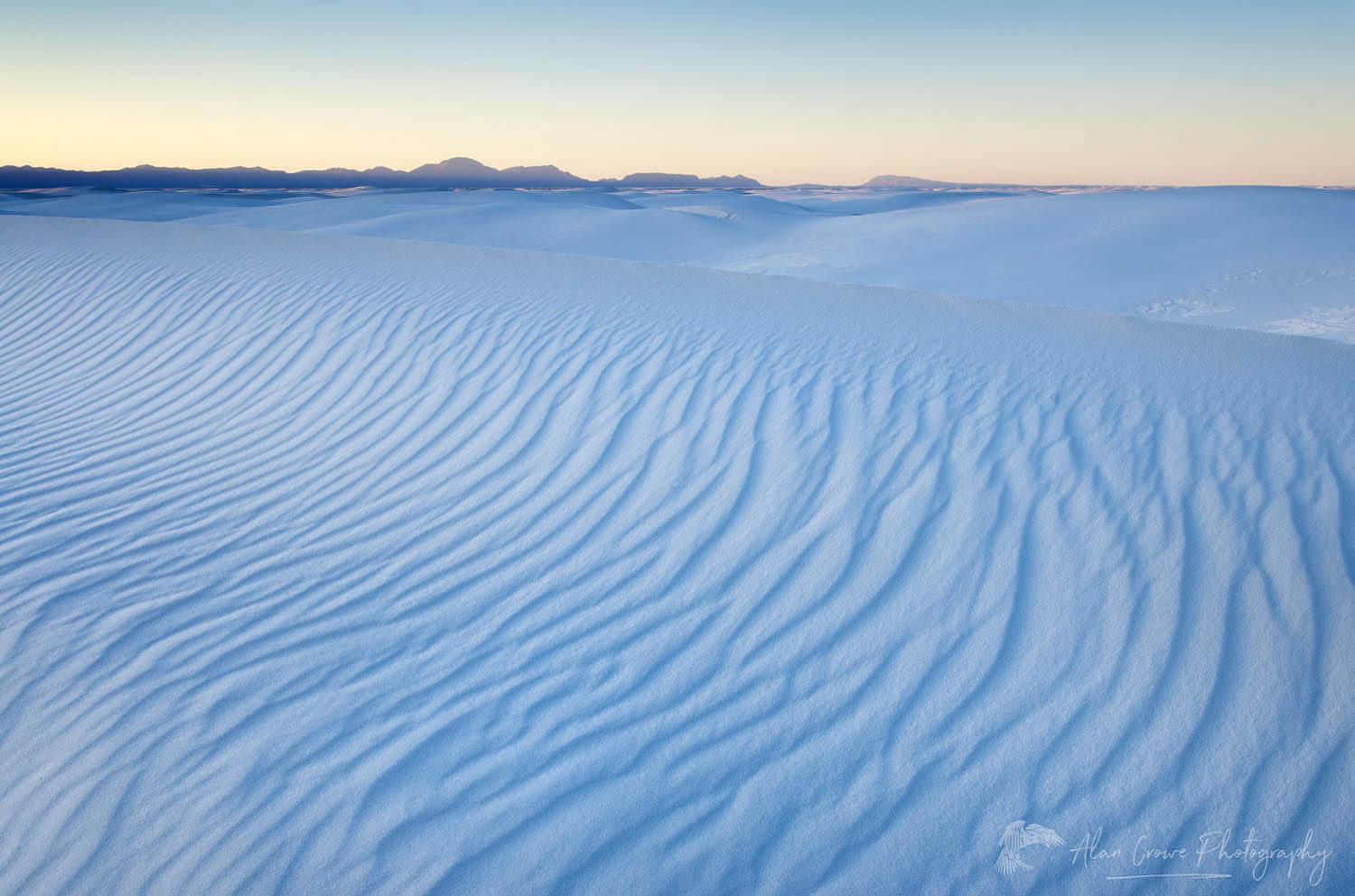 Gypsum sand dunes, White Sands National Park New Mexico #57138