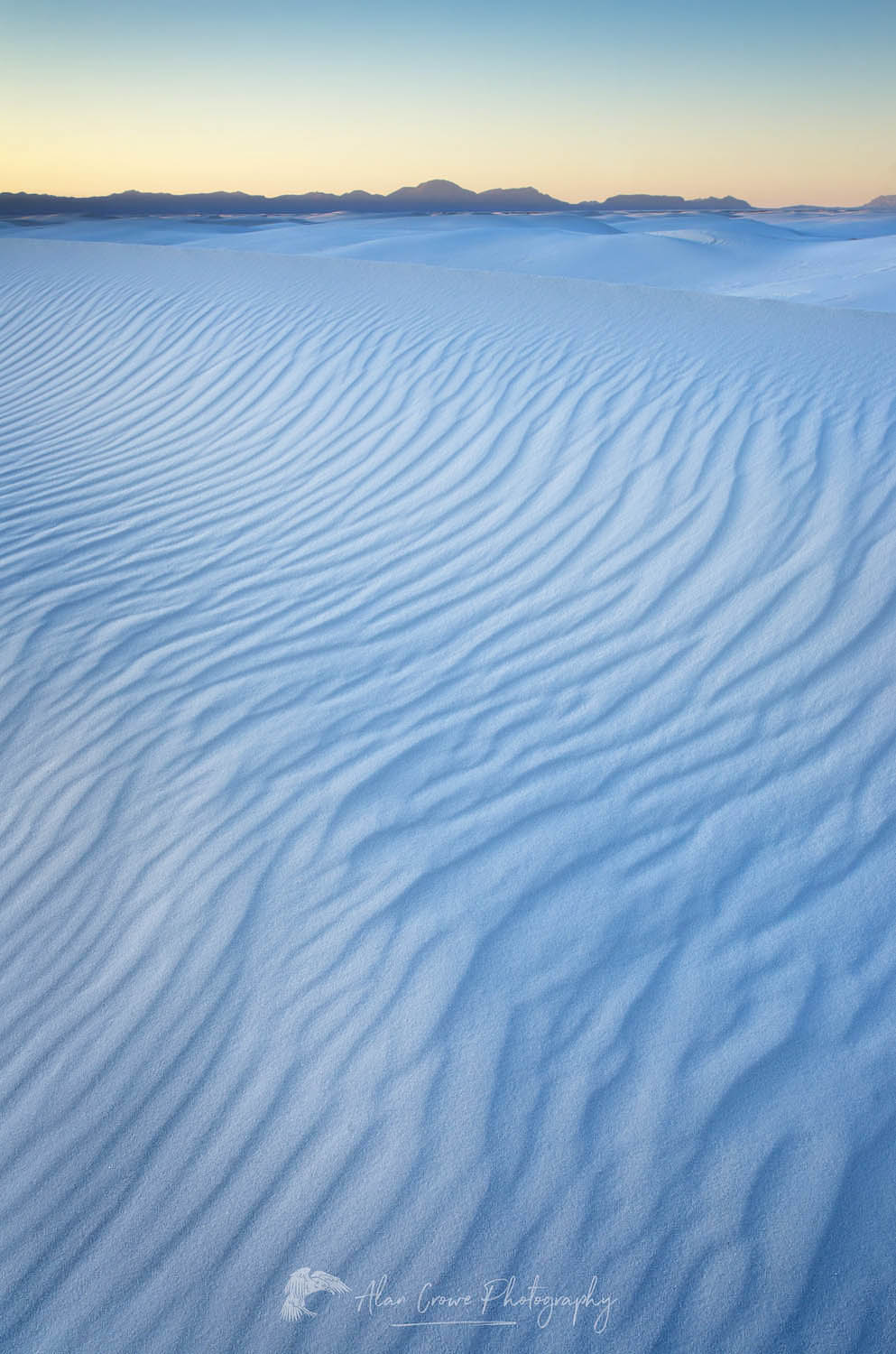 Gypsum sand dunes, White Sands National Park New Mexico #57139