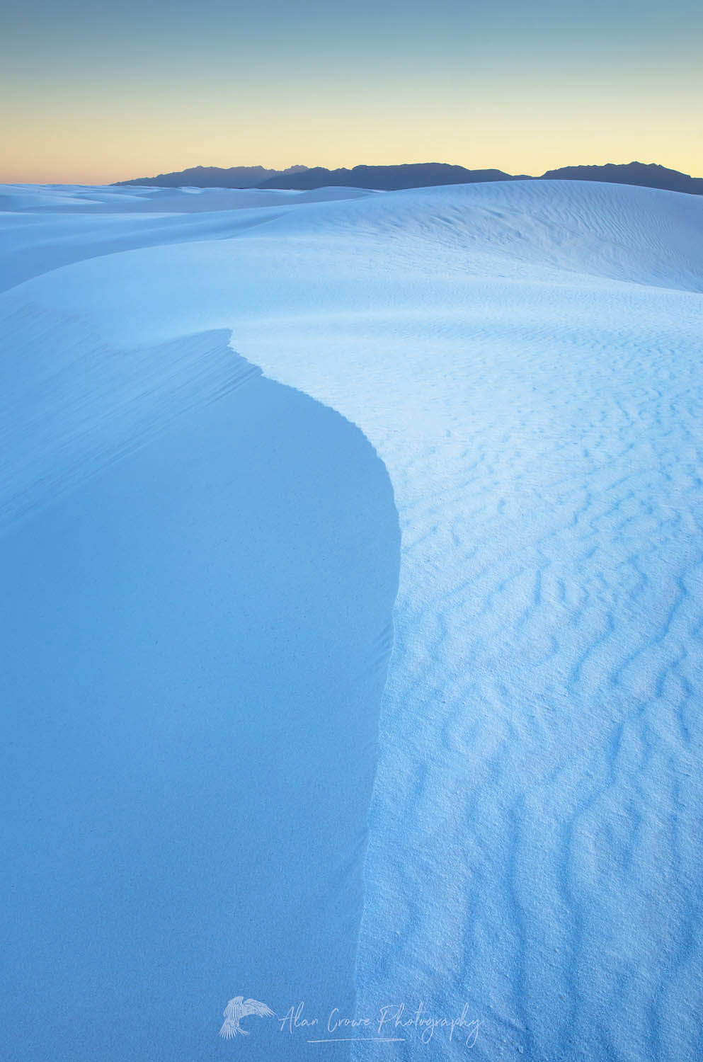 Gypsum sand dunes, White Sands National Park New Mexico #57140