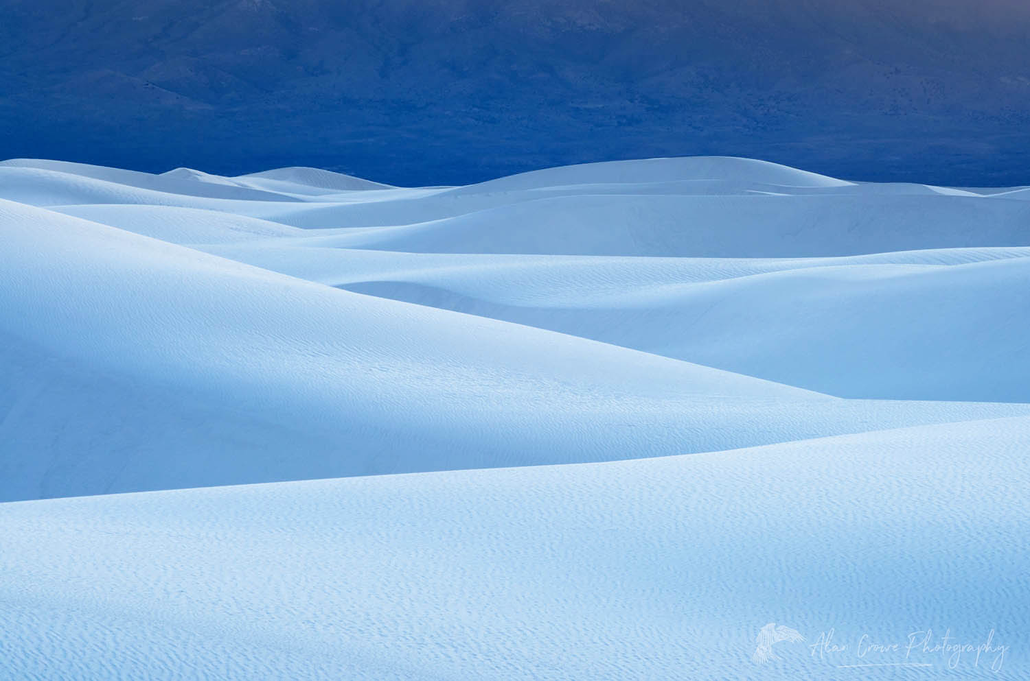 Gypsum sand dunes, White Sands National Park New Mexico #57146