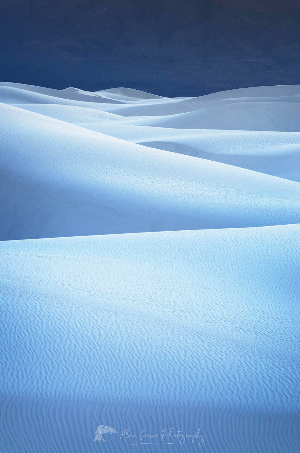 Gypsum sand dunes, White Sands National Park New Mexico #57148