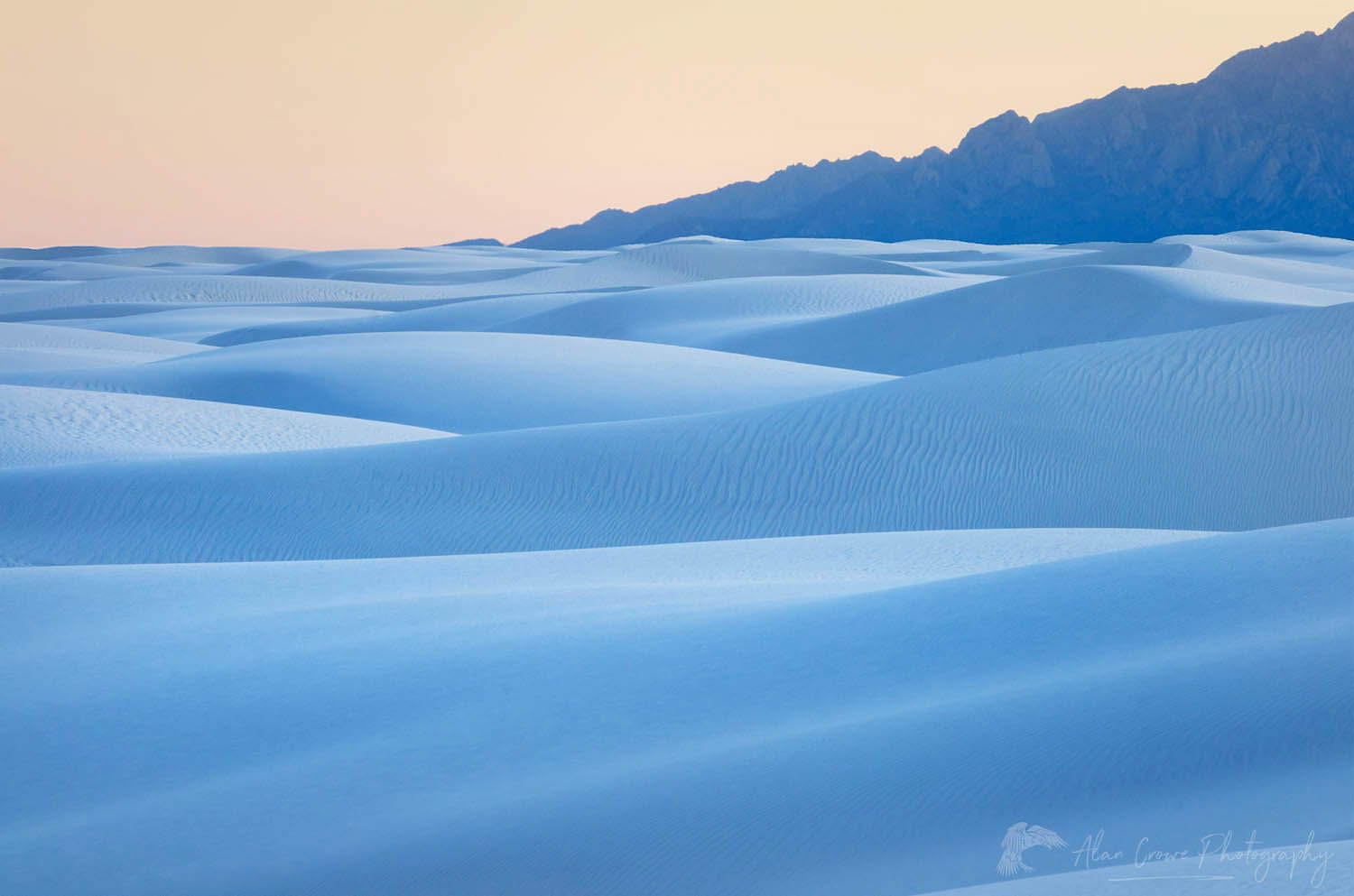 Gypsum sand dunes, White Sands National Park New Mexico #57151
