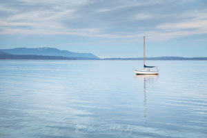 Sailboat anchored in Bellingham Bay on a calm morning, Bellingham, Washington #64830