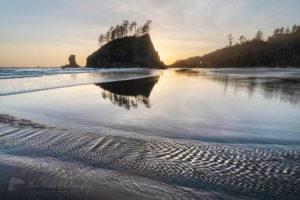 Sunset at Second Beach during low tide, Olympic National Park Washington #65393