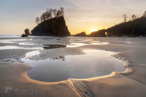 Second Beach tide pools at sunset, Olympic National Park near La Push Washington #65409