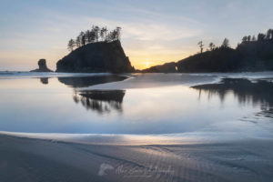 Second Beach tide pools at sunset, Olympic National Park near La Push Washington #65429