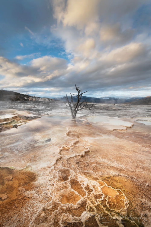 Mammoth Hot Springs Yellowstone National Park New Additions Teton Yellowstone Glacier 