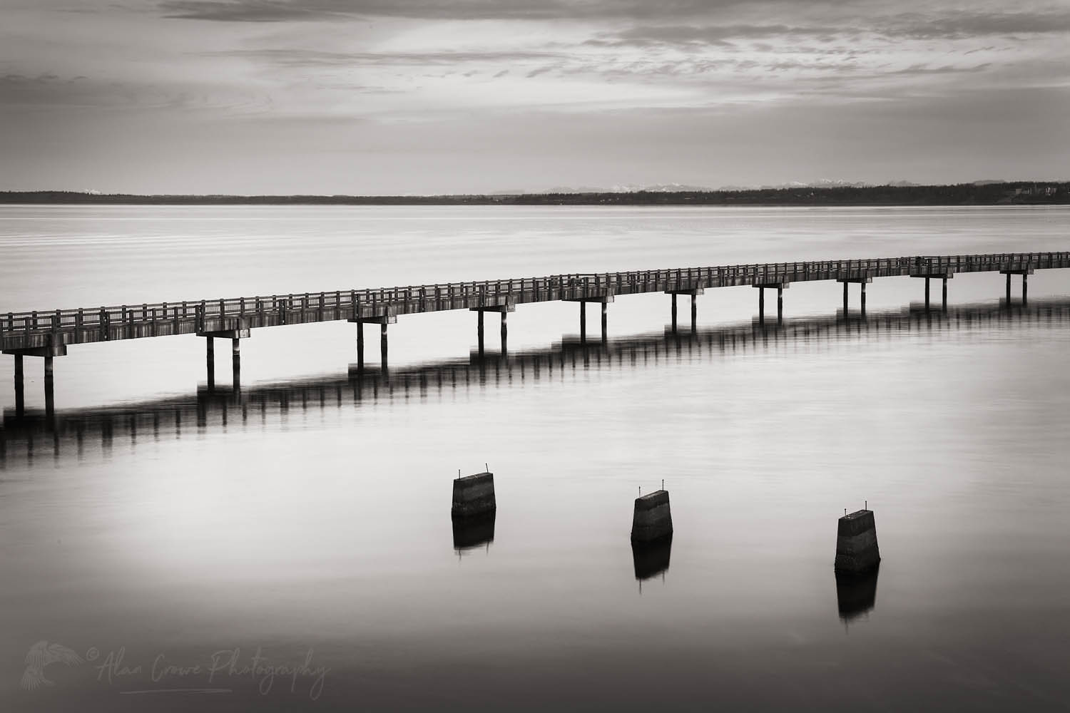 Boulevard Park Boardwalk, Taylor Dock on Bellingham Bay, Bellingham Washington #64822bw