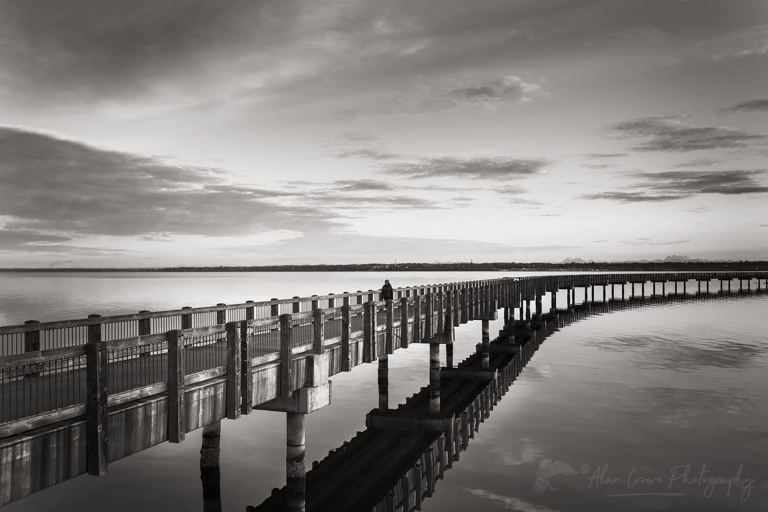 Boulevard Park Boardwalk, Taylor Dock on Bellingham Bay, Bellingham Washington #64866bw