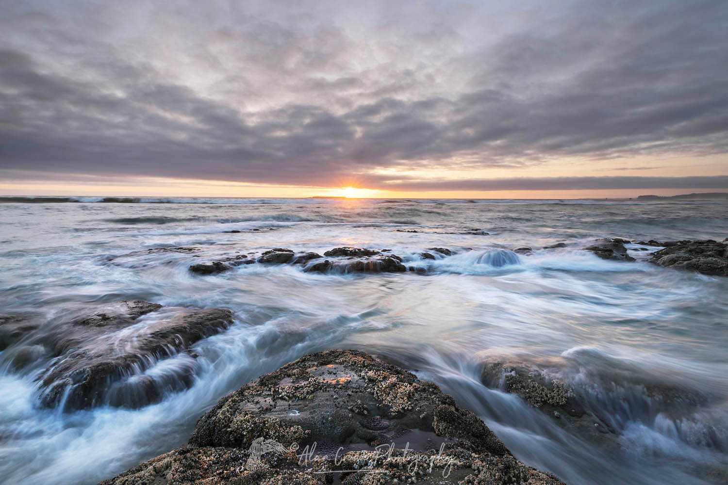 Kalaloch Beach 4 at sunset, Olympic National Park Washington #65138