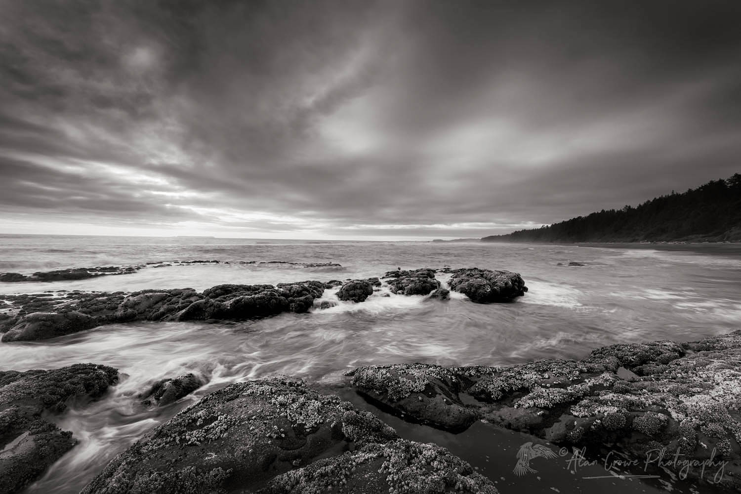 Kalaloch Beach 4 at sunset, Olympic National Park Washington #65131bw
