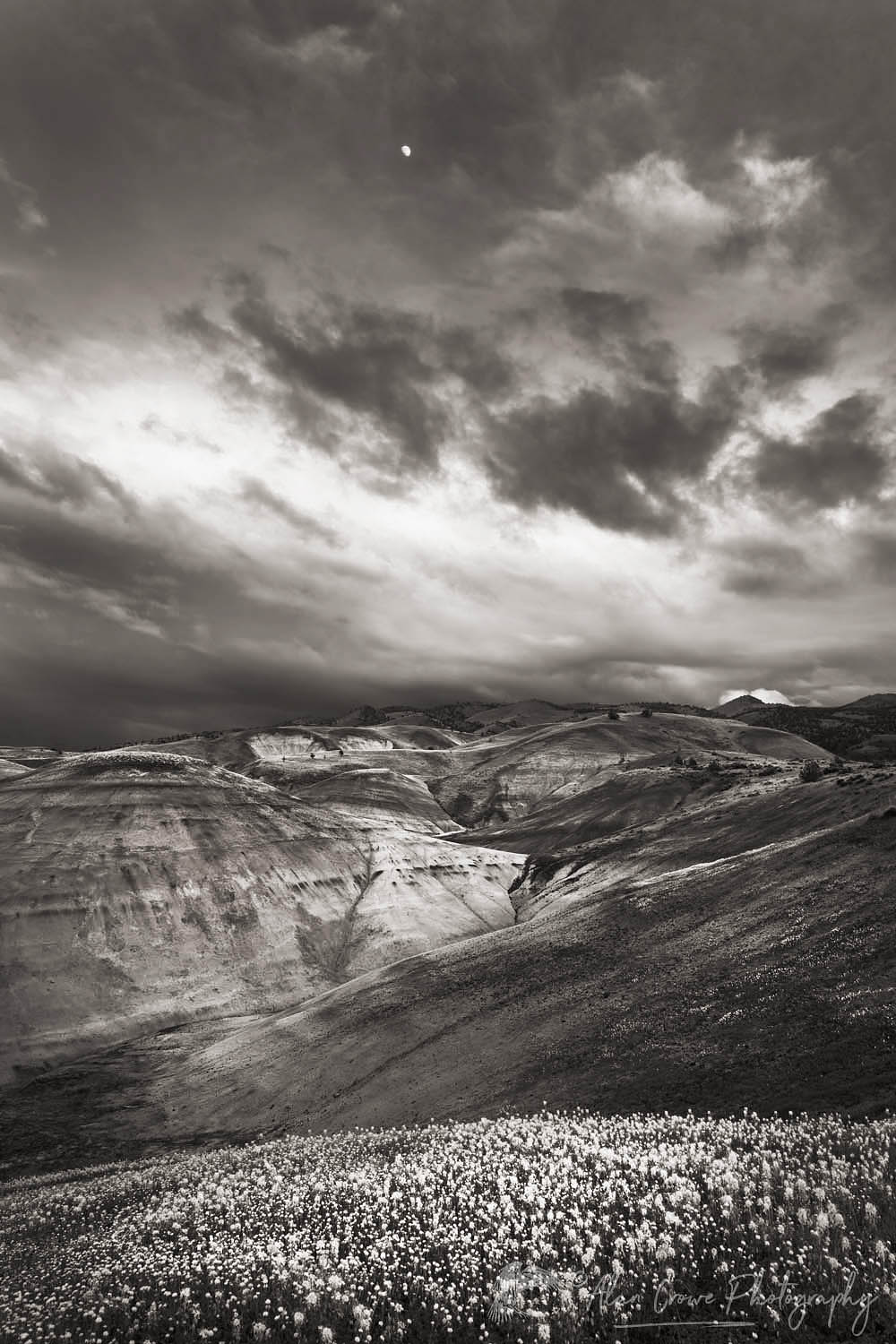 Painted Hills Unit of John Day Fossil Beds National Monument Oregon. #65578bw