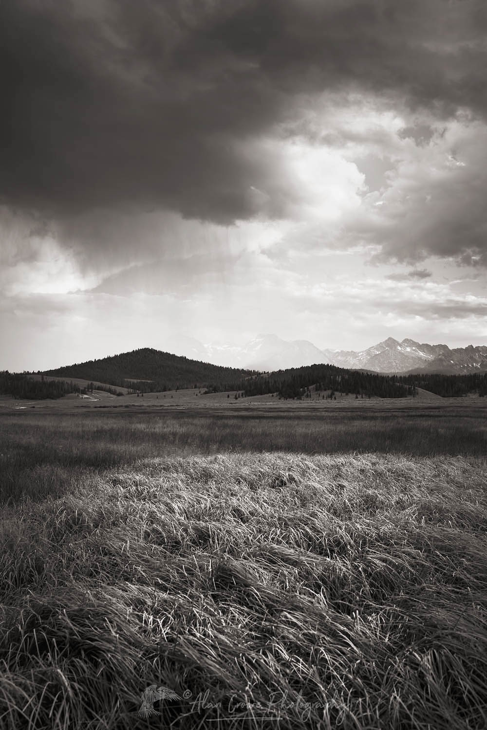 Evening storm over meadows of Stanley Basin. Sawtooth Mountains Idaho #65825bw