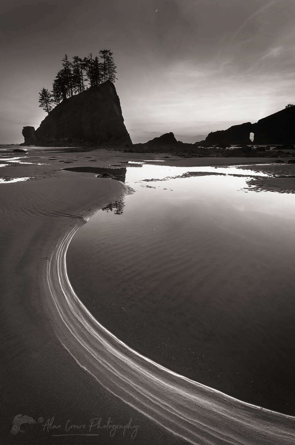 Second Beach tide pools, Olympic National Park near La Push Washington #65448bw