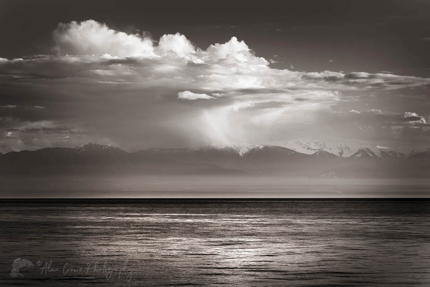 Olympic Mountains across Strait of Juan De Fuca, seen from San Juan Island Washington #64922bw