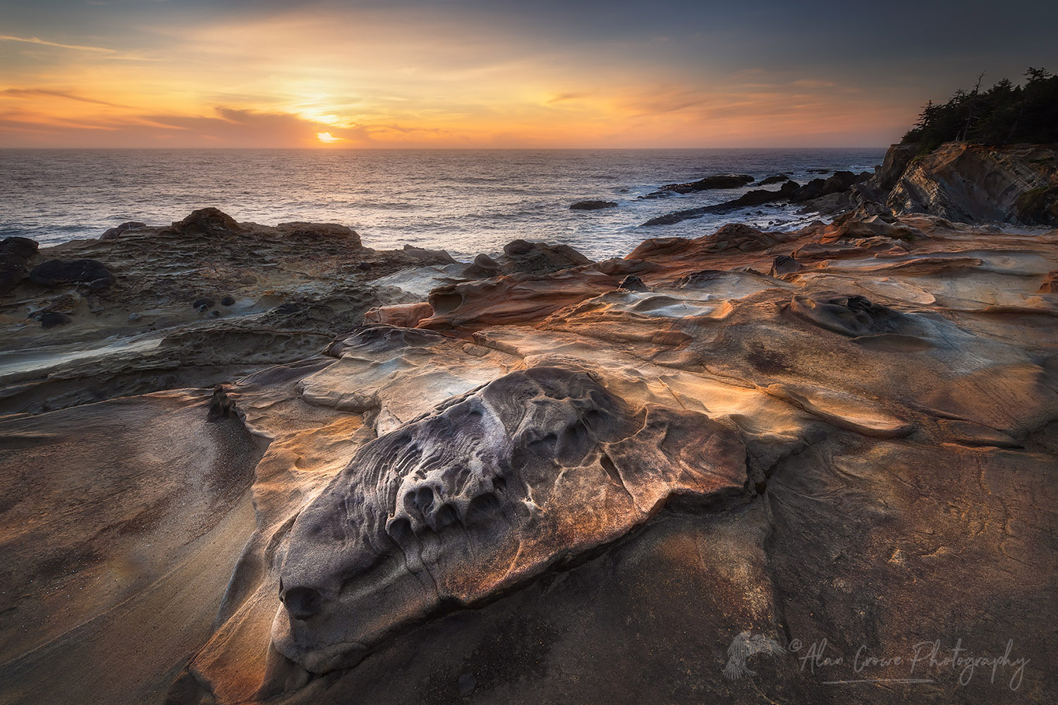 Eroded sandstone concretions and formations at Shore Acres State Park Oregon. #68579